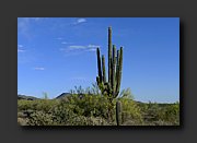 P1010155-mod.jpg