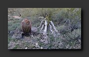P1040086-mod.jpg