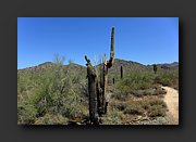 P1020296-mod.jpg