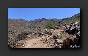 P1020312-mod.jpg