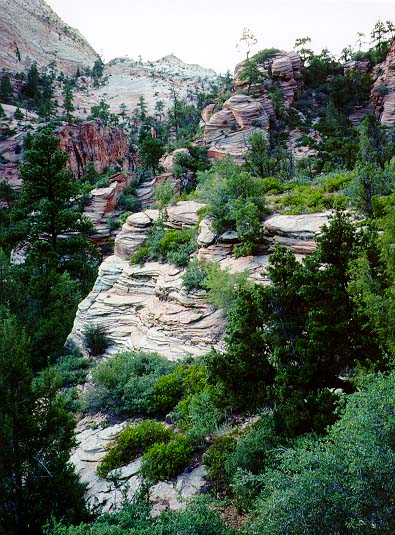 9908-Zion-06