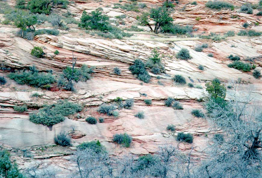 S0-9611-Zion-04